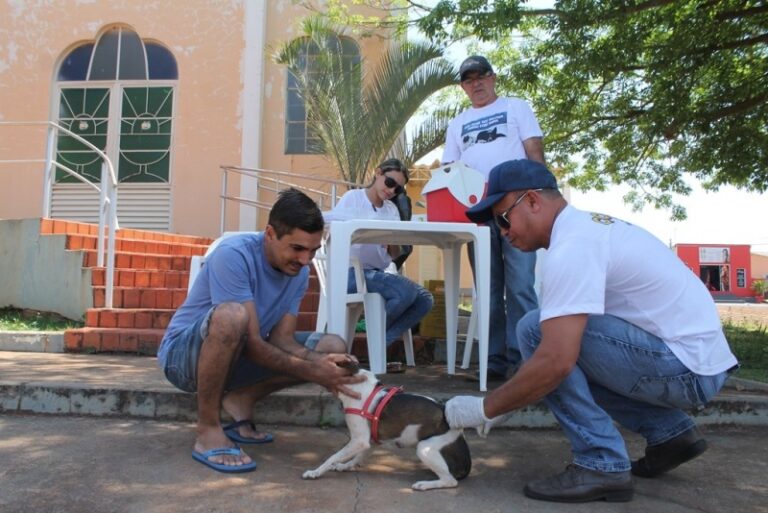 Em Costa Rica, três regiões da zona rural terão antecipação da vacinação antirrábica