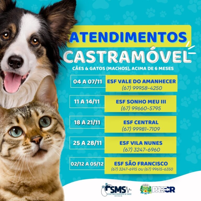 Confira a escala de atendimentos do Castramóvel para novembro em Costa Rica