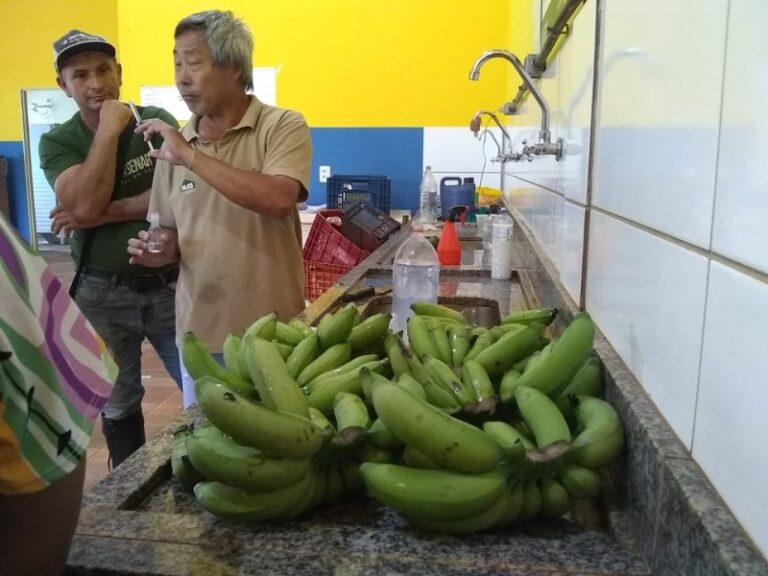 Costa Rica promove oficina técnica de Plantio de Banana para horticultores do Cinturão Verde