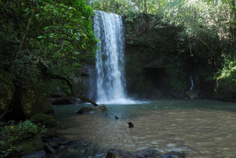 Folia e natureza: a magia do Carnaval em Costa Rica