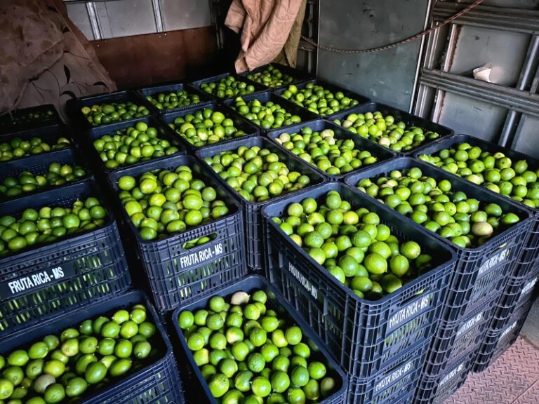 Fruticultura: Costa Rica entrega 1º caminhão com 110 caixas de limão ao CEASA na Capital