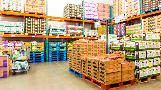 Câmara aprova projeto que abre caminho para instalação de atacarejo e geração de empregos em Costa Rica