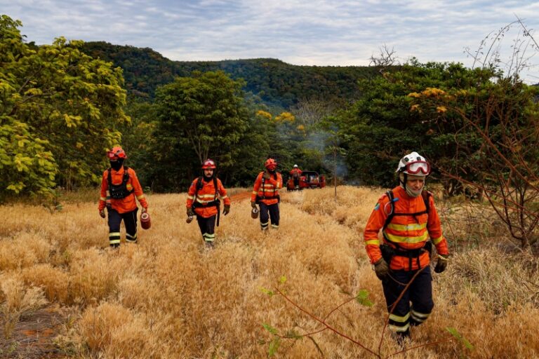 Bombeiros de MS intensificam preparação com treinamento e ações preventivas no Parque Nascentes do Rio Taquari