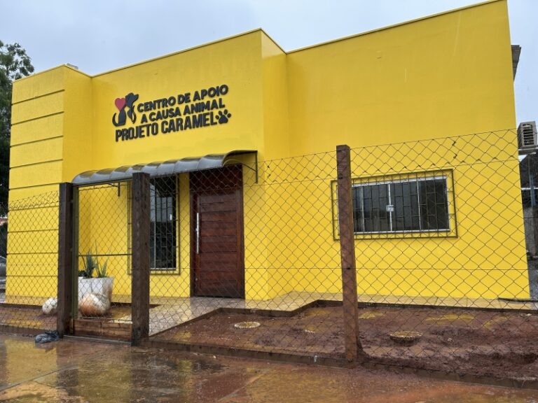 Projeto Caramelo já contabiliza 10 cirurgias, 58 consultas e 18 adoções em menos de dois meses de funcionamento em Costa Rica